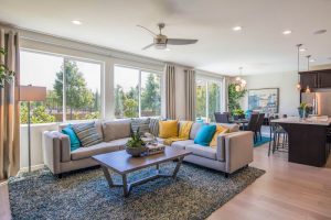 Anlin replacement windows and doors